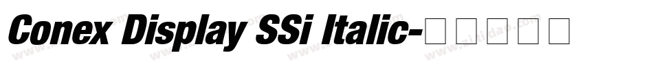 Conex Display SSi Italic字体转换